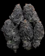 ESP  BC1 - Image 2