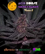 Acid House Version 2 : [75% Deeply serrated leaf expression and 25% Pinnate type leaf expression]