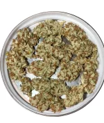 OUTLANDER OG - Image 3
