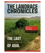 Issue 01 May 2026